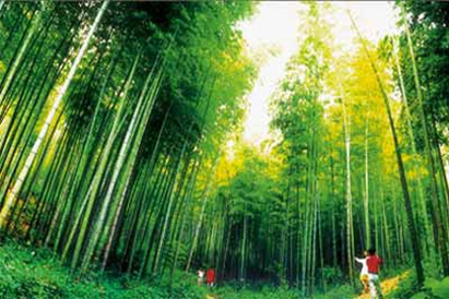 感受马鞍山如仙境般的美景吧!