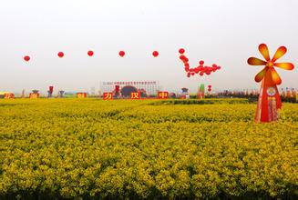 【2015汉中油菜花节】2015汉中油菜花节时间,地点,门票,2015汉中油菜