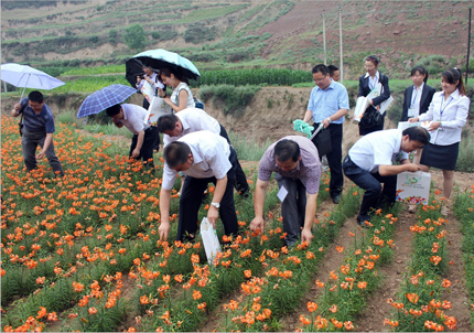 【2015兰州百合文化旅游节】2015兰州百合文化旅游节时间,地址,2015