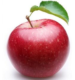 夏季多吃什么水果可以补水?夏季最适合吃什么