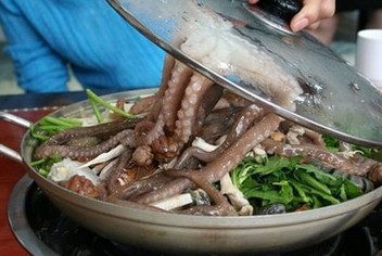 等退潮时仔细v章鱼泥堆,地上呼吸的一个个小洞,章鱼就是的出现孔,这血鹦鹉换水图片