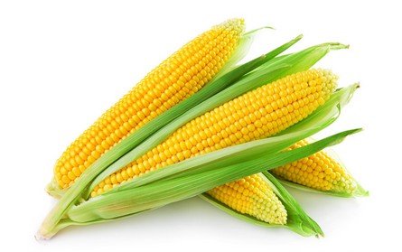 吸烟的人吃什么好?吃什么清肺?-3158餐饮网