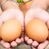 香椿蒸鸡蛋的做法是什么?有什么功效