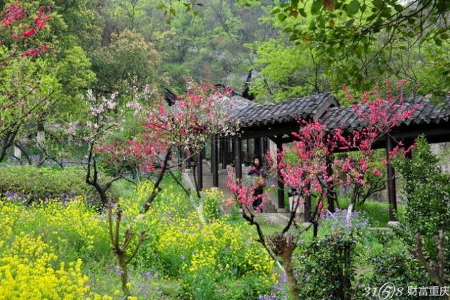 2016年绍兴吼山桃花节什么时候举办?地点-门票-交通-精彩看点