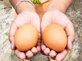 端午节吃鸡蛋的含义有哪些?