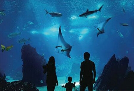 圣蓝皇家海洋公园有哪些好玩的?-3158河北分站