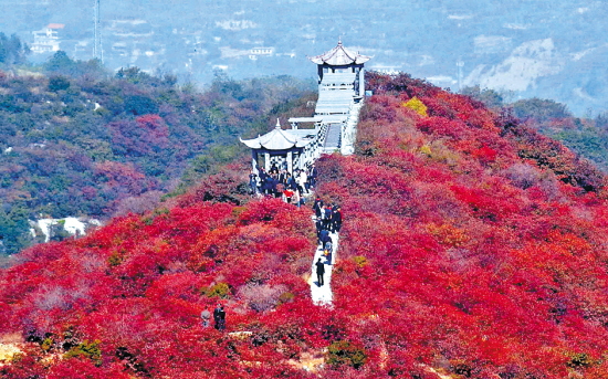 2015河南长寿山红叶节时间,地点,门票及看点