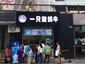 解密:一只酸奶牛为什么那么火