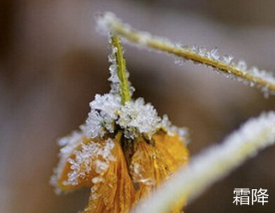 南北方在霜降节气传统习俗由于情况不同在霜降节气时的风俗也不大相同