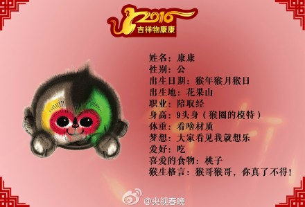 2016猴年春晚吉祥物康康个人资料