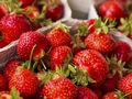 草莓几月份成熟上市 什么时候是吃草莓的最佳时间