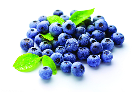 蓝莓高清图片