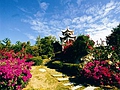 去三亚旅游费用是多少?三亚旅游景点哪些是不需要门票的?