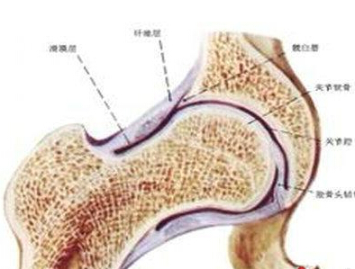 中西医结合治疗骨质疏松性腰椎骨折的临床研究