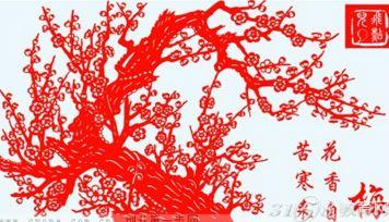 女大学生回乡剪纸年销500万