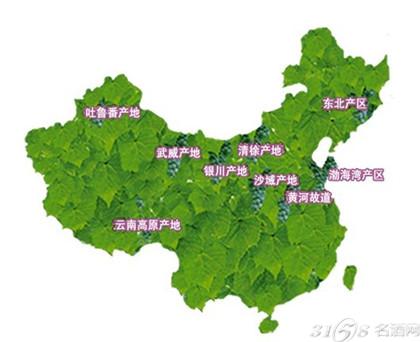 中国葡萄酒主要产区有哪些?-酒文化-起源-315