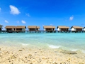 夏天适合去哪里旅游?