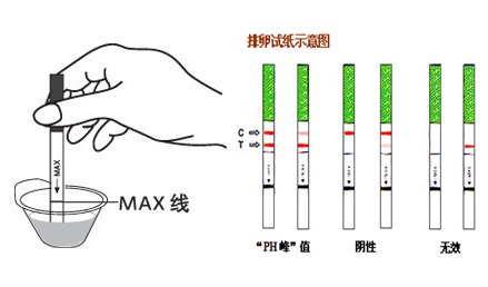 试纸检测