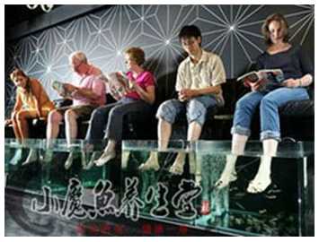 加盟小魔鱼养生馆 稳赚养生市场