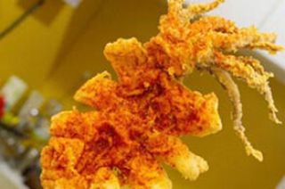 鱿滋鱿味轰炸大鱿鱼 给你独一无二的美味-315