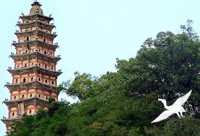 高坪无量宝塔风景区作文初中参赛图片