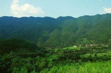 四川镇龙山国家森林公园