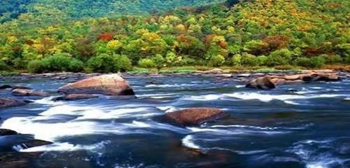 美丽四川 >  旅游人文 鞍子河自然保护区  鞍子河自然保护区位于崇州