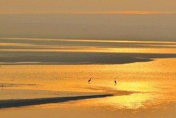 孟津黄河湿地景点怎么样?