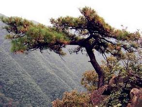 黄荆山风景区简介