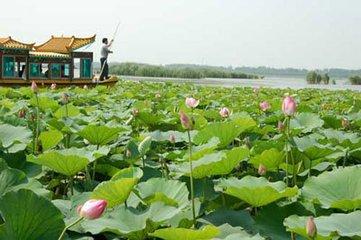 淮阳县景点怎么样?