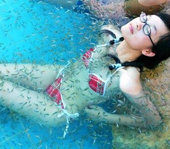 鱼之情鱼疗养生馆加盟需要哪些条件?