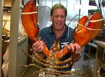 美国长岛餐馆现百岁25磅大龙虾 虾钳大如刀-3158餐饮网