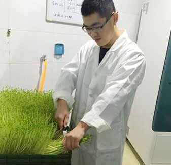 如何种植蔬菜发财 菜立方技术更先进