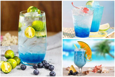 蓝茶加盟店 颠覆传统茶概念-致富项目