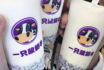 一只酸奶牛加盟代理多少钱?多久可以回本 一只酸奶牛加盟代理多少钱?多久可以回本