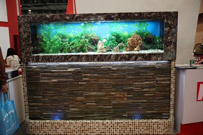 鸣亮水族生意怎么样?加盟鸣亮水族赚钱吗? 鸣亮水族生意怎么样?加盟鸣亮水族赚钱吗?
