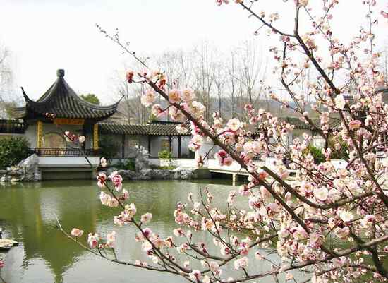 2015第六届杭州余杭超山梅花节门票是多少钱?