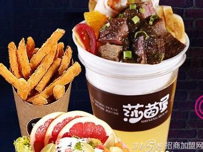 莎茵屋时尚街头小吃投资是多大?