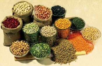 2013最赚钱的小本生意是什么?