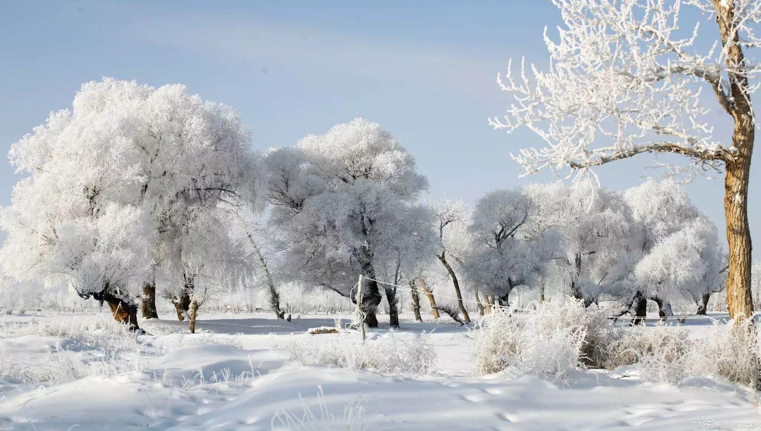 大雪什么成语_成语故事简笔画