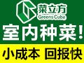 农村可以盈利的好项目有哪些?