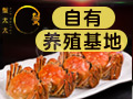 如何开一家特色水产店 蟹太太产品好