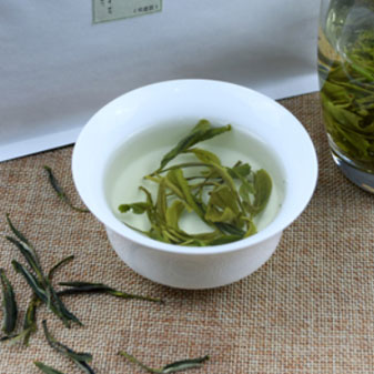 绿茶什么子最好