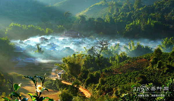 茶之旅 云南茶叶产地之勐海风情