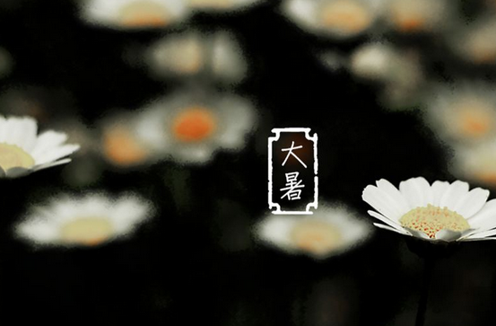 d7369dbd53791b291d2cb59edad6da6d.png