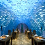 魅力无限之唯美海底餐厅