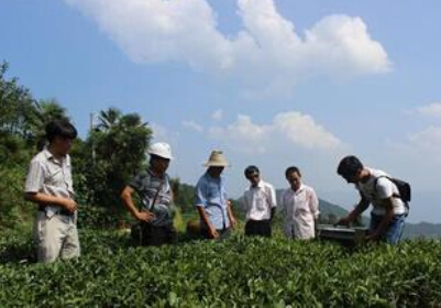 夷陵太平溪茶叶加工厂 补贴政策全面升级