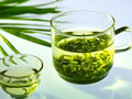 绿茶籽粉的用途和使用方法
