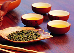 秋名茶的生产特点及采制技术