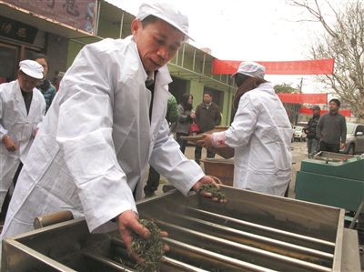 南京头锅雨花茶开炒价格暴跌